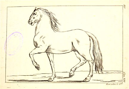 "Tratado de la pintura (Estudio del caballo)". Free illustration for personal and commercial use.