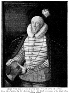 Scan550-2