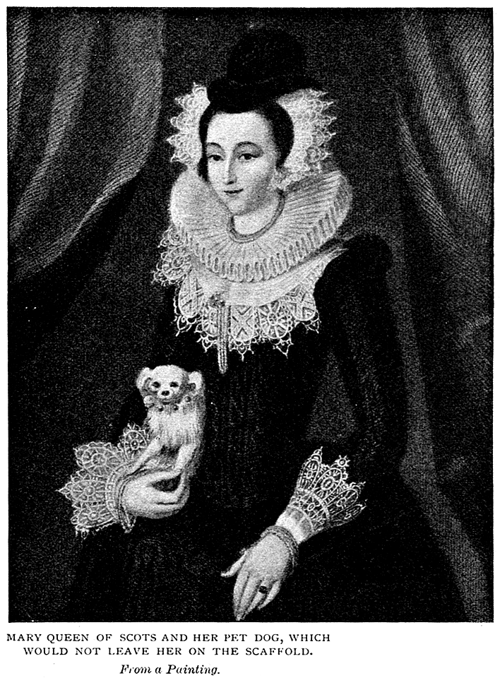 Scan550-1