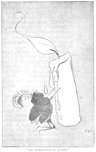 Scan521-1