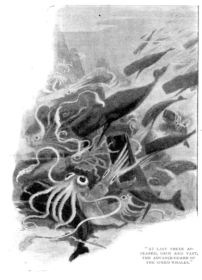 scan633