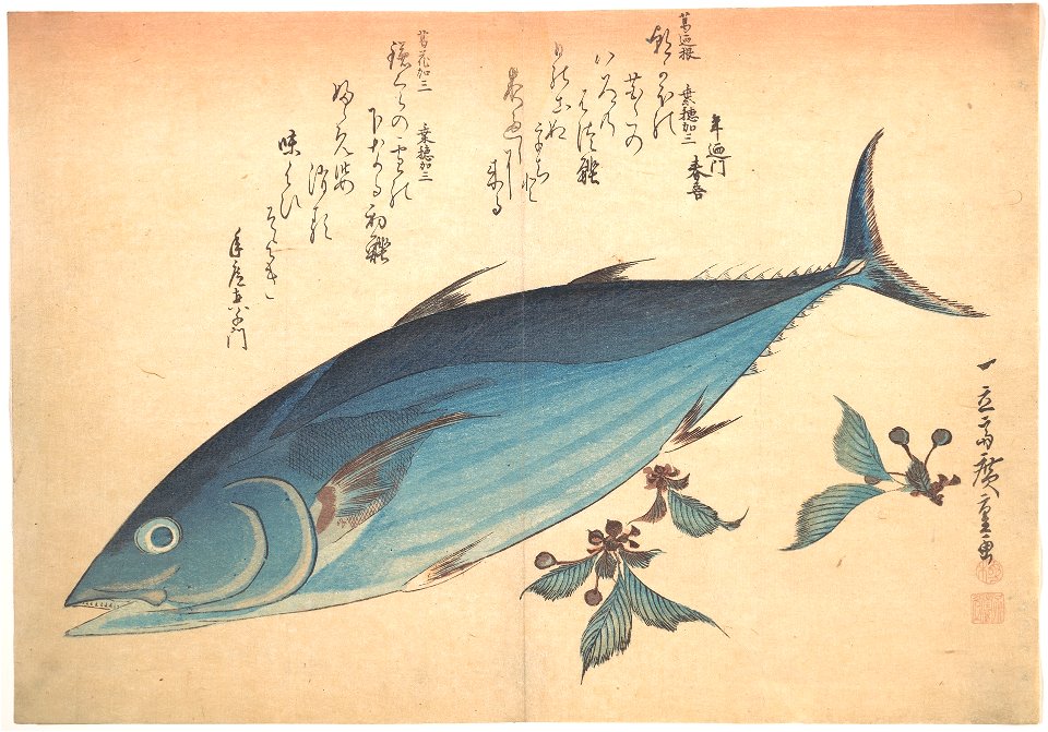 魚づくし　鰹に桜