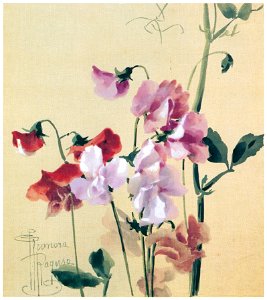 Kiyohara Tama – Sweet Peas [from Tama Eleonora Ragusa]. Free illustration for personal and commercial use.