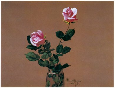 Kiyohara Tama – Roses [from Tama Eleonora Ragusa]