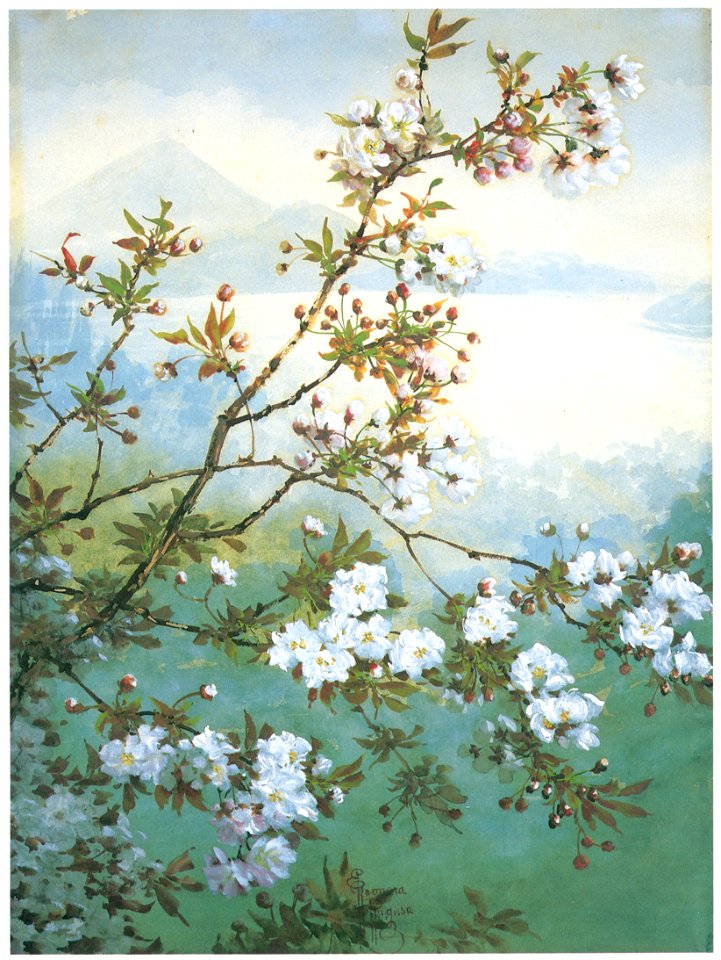 Kiyohara Tama – Cherry Blossoms [from Tama Eleonora Ragusa]