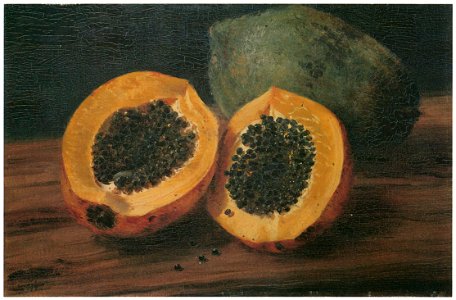 Kiyohara Tama – Papayas [from Tama Eleonora Ragusa]