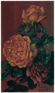 Kiyohara Tama – Roses [from Tama Eleonora Ragusa]