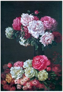Kiyohara Tama – Roses in May [from Tama Eleonora Ragusa]