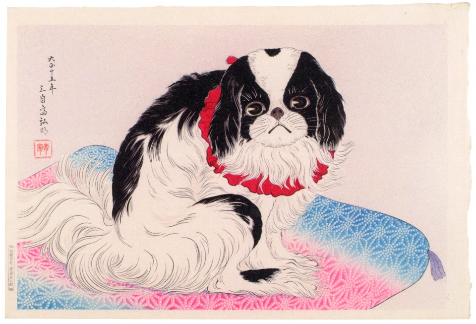 Takahashi Shōtei – Untitled: (A Pug-Dog on the Cushion) [from Shotei (Hiroaki) Takahashi: His Life and Works]