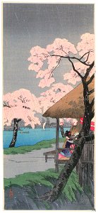 Takahashi Shōtei – Cherry Blossoms along the River Sumida [from Shotei (Hiroaki) Takahashi: His Life and Works]. Free illustration for personal and commercial use.