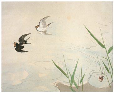Kawai Gyokudō – Four Water Themes: Flying Swallows [from The Exhibition of Kawai Gyokudō in memory of the 50th anniversary after his death]. Free illustration for personal and commercial use.