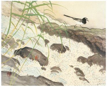 Kawai Gyokudō – Four Water Themes: A Wagtail [from The Exhibition of Kawai Gyokudō in memory of the 50th anniversary after his death]. Free illustration for personal and commercial use.