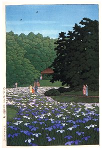 Hasui Kawase – Iris Garden at Meiji Shrine [from Kawase Hasui 130th Anniversary Exhibition Catalogue]. Free illustration for personal and commercial use.