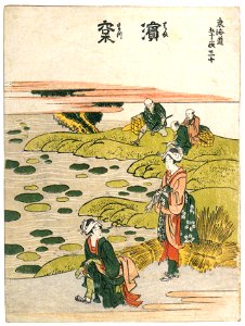 Katsushika Hokusai – 30. Hamamatsu-juku (53 Stations of the Tōkaidō) [from Meihin Soroimono Ukiyo-e]. Free illustration for personal and commercial use.