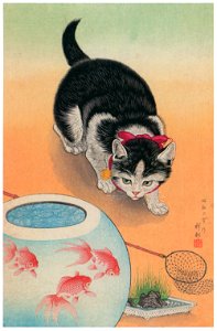 Ohara Koson – Cat and Fishbowl [from Hanga Geijutsu No.180]. Free illustration for personal and commercial use.