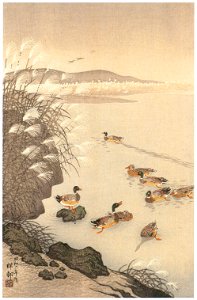 Ohara Koson – Late Autumn Pond [from Hanga Geijutsu No.180]. Free illustration for personal and commercial use.