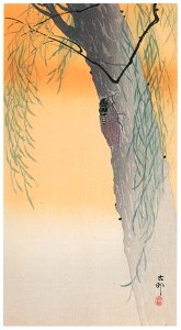 Ohara Koson – Large Brown Cicada and Willow [from Hanga Geijutsu No.180]