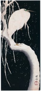 Ohara Koson – Egret on Snowy Branch [from Hanga Geijutsu No.180]. Free illustration for personal and commercial use.