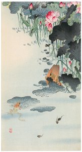 Ohara Koson – Frog and Lotus [from Hanga Geijutsu No.180]. Free illustration for personal and commercial use.