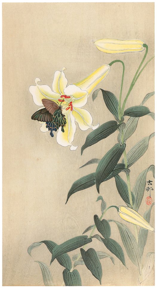 Ohara Koson – Spangle and Lily [from Hanga Geijutsu No.180]