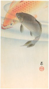 Ohara Koson – Two Carps [from Hanga Geijutsu No.180]. Free illustration for personal and commercial use.