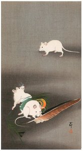 Ohara Koson – Peacock Feather and White Mice [from Hanga Geijutsu No.180]. Free illustration for personal and commercial use.