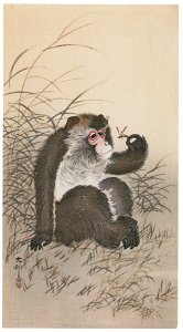 Ohara Koson – Monkey and Bee [from Hanga Geijutsu No.180]. Free illustration for personal and commercial use.