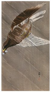 Ohara Koson – White-tailed Eagle in the Rain [from Hanga Geijutsu No.180]. Free illustration for personal and commercial use.