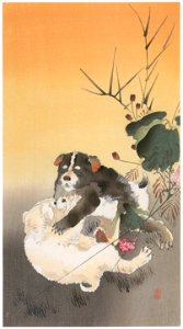 Ohara Koson – Playing Puppies [from Hanga Geijutsu No.180]. Free illustration for personal and commercial use.