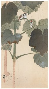 Ohara Koson – Princess Tree and Sparrows in the Rain [from Hanga Geijutsu No.180]. Free illustration for personal and commercial use.