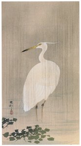 Ohara Koson – Little Egret in the Rain [from Hanga Geijutsu No.180]. Free illustration for personal and commercial use.