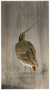 Ohara Koson – Common Snipe in the Rain [from Hanga Geijutsu No.180]. Free illustration for personal and commercial use.