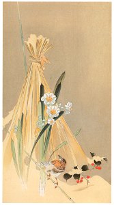 Ohara Koson – Hay Bundle, Narcissus Flower and Japanese Accentor [from Hanga Geijutsu No.180]. Free illustration for personal and commercial use.
