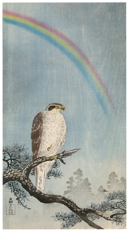 Ohara Koson – Rainbow, Pine Tree and Northern Goshawk [from Hanga Geijutsu No.180]