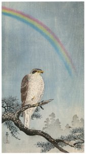 Ohara Koson – Rainbow, Pine Tree and Northern Goshawk [from Hanga Geijutsu No.180]. Free illustration for personal and commercial use.