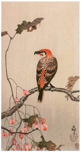 Ohara Koson – Hardy Begonia and Red Crossbill [from Hanga Geijutsu No.180]