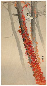 Ohara Koson – Autumn Ivy and Japanese Tits [from Hanga Geijutsu No.180]. Free illustration for personal and commercial use.