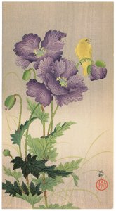 Ohara Koson – Opium Poppy and Atlantic Canary [from Hanga Geijutsu No.180]. Free illustration for personal and commercial use.