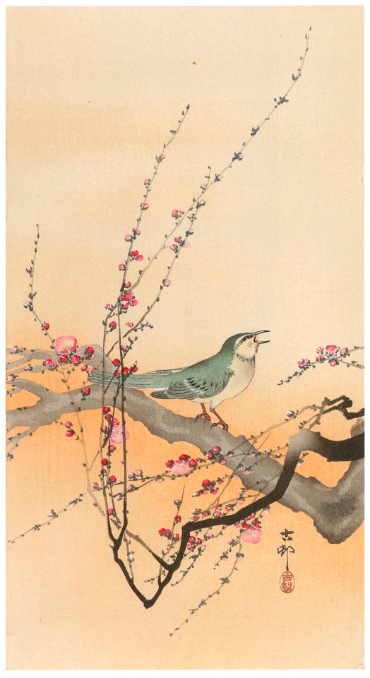 Ohara Koson – Japanese Bush Warbler and Japanese Plum [from Hanga Geijutsu No.180]