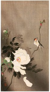 Ohara Koson – Swallow and Peony [from Hanga Geijutsu No.180]. Free illustration for personal and commercial use.