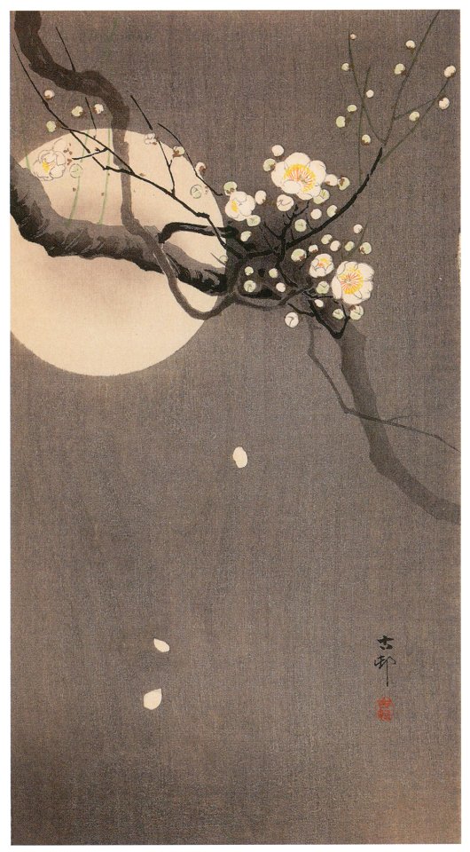 Ohara Koson – White Plum with Moon [from Hanga Geijutsu No.180]