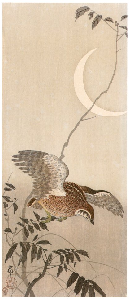 Ohara Koson – Japanese Quail with Moon [from Hanga Geijutsu No.180]