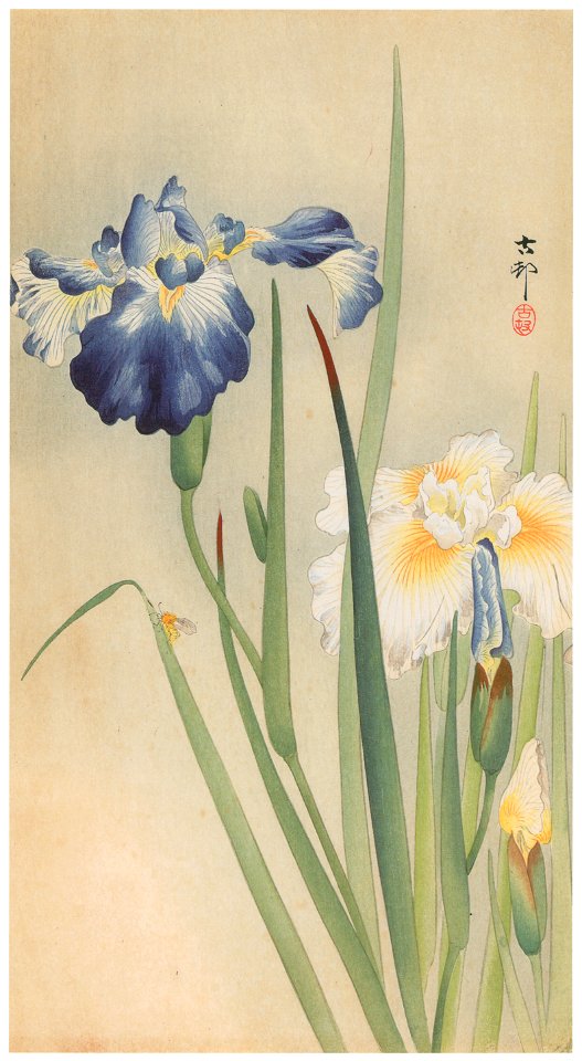 Ohara Koson – Iris and Bee [from Hanga Geijutsu No.180]