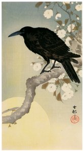 Ohara Koson – Cherry Blossoms and Crow with Moon [from Hanga Geijutsu No.180]. Free illustration for personal and commercial use.