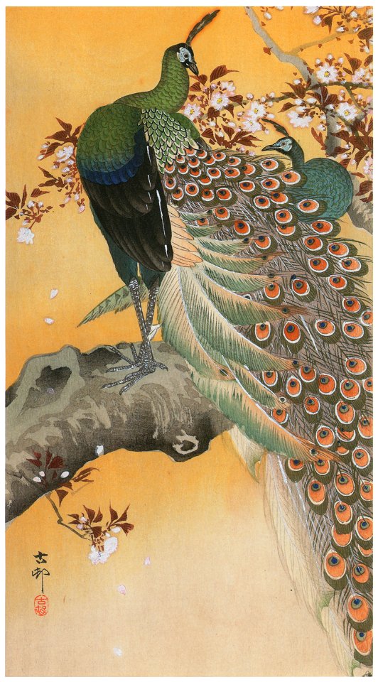 Ohara Koson – Cherry Blossoms and Peacocks [from Hanga Geijutsu No.180]