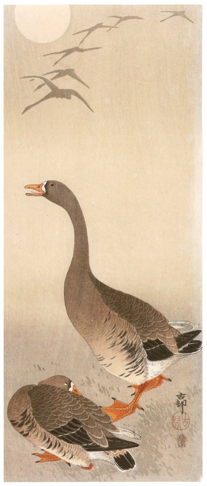 Ohara Koson – Greater White-fronted Geese with Moon [from Hanga Geijutsu No.180]