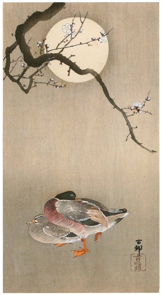 Ohara Koson – Plum and Mallard Ducks with Moon [from Hanga Geijutsu No.180]