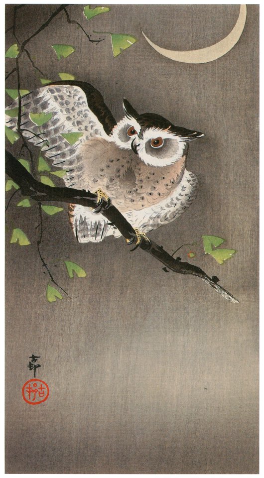 Ohara Koson – Horned Owl on Ginkgo Branch and Crescent Moon [from Hanga Geijutsu No.180]