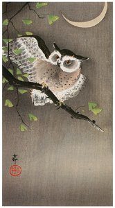 Ohara Koson – Horned Owl on Ginkgo Branch and Crescent Moon [from Hanga Geijutsu No.180]. Free illustration for personal and commercial use.