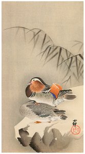 Ohara Koson – Mandarin Ducks in Snow [from Hanga Geijutsu No.180]. Free illustration for personal and commercial use.